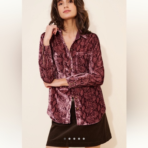 Medium Anthropologie pilcro Hadley velvet button down collar shirt pink print - Picture 11 of 14